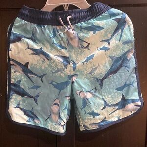 Shark Print Swim Shorts